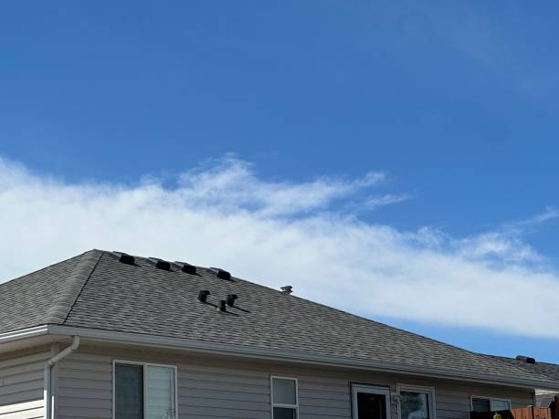 Best Chimney Flashing Repair  in Osburn, ID